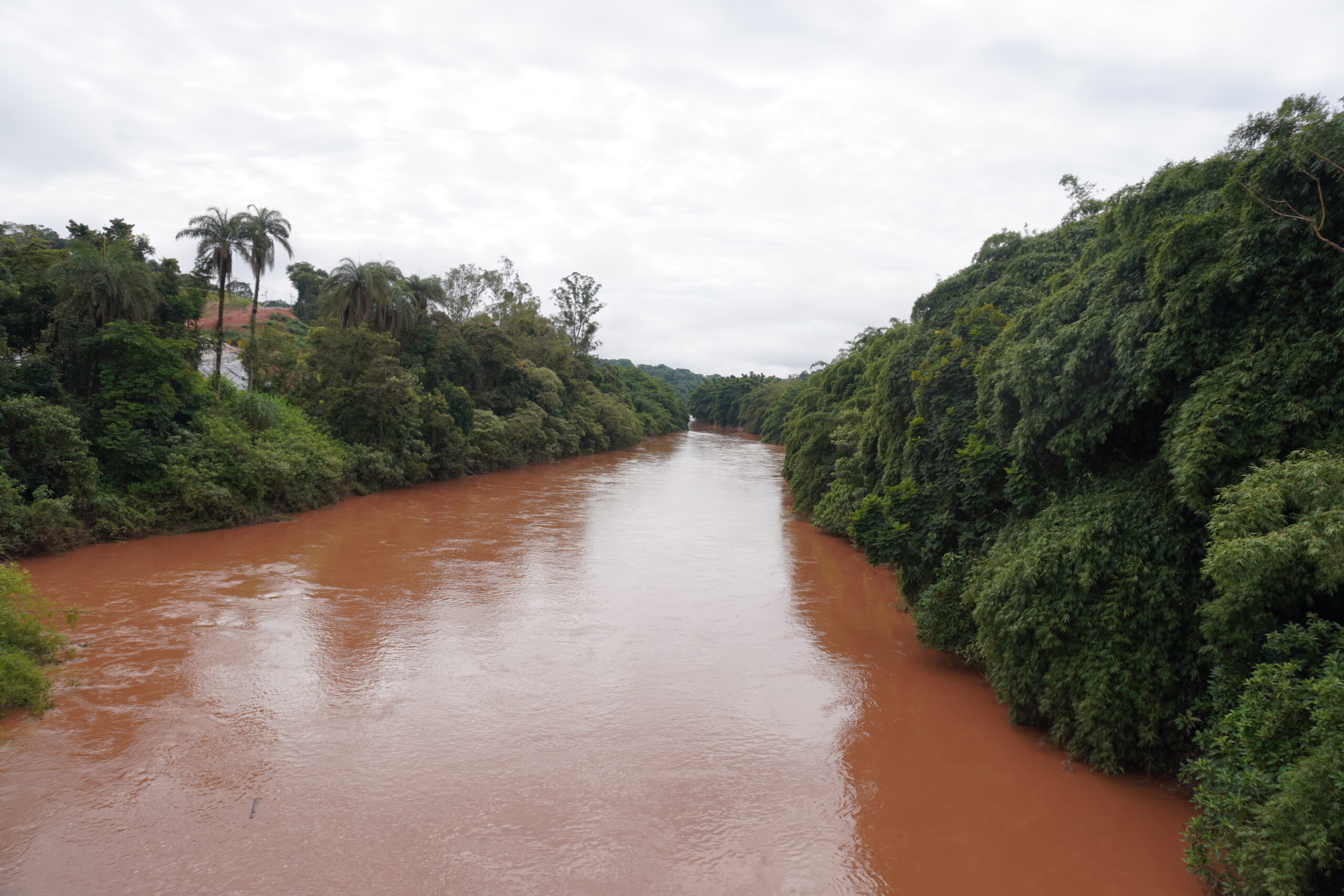 Il Rio Paraopeba scorre nei pressi di Brumadinho e della miniera di C&oacute;rrego do Feij&atilde;o. A 7 anni di distanza dal collasso della diga, l'acqua &egrave; ancora marrone e impregnata di metalli pesanti.
